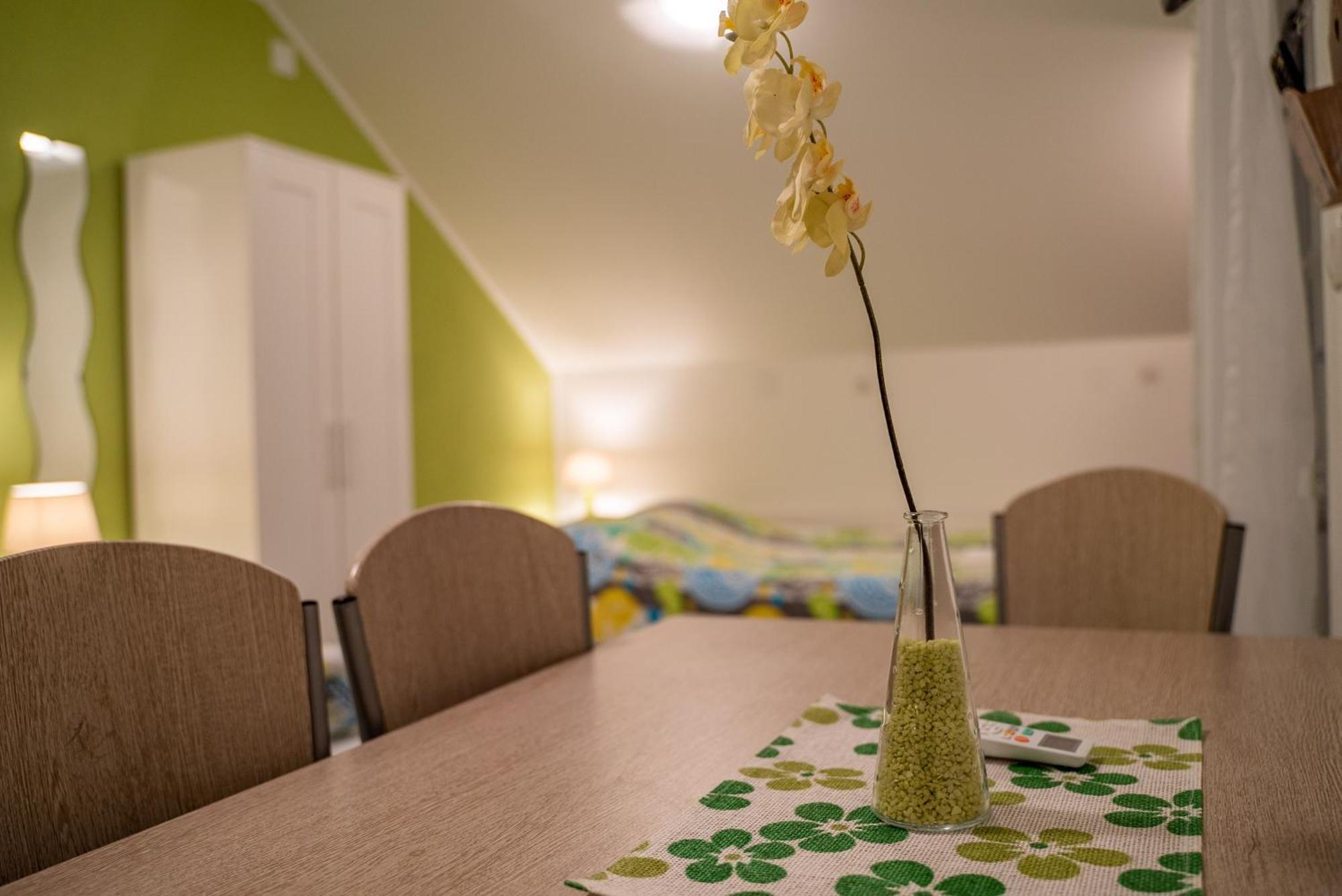 Studio Apartments Ante Rakovica Esterno foto